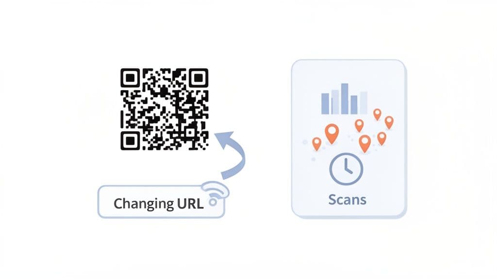 Dynamic QR code management, showing a QR code linked to a changing URL and detailed scan tracking analytics.
